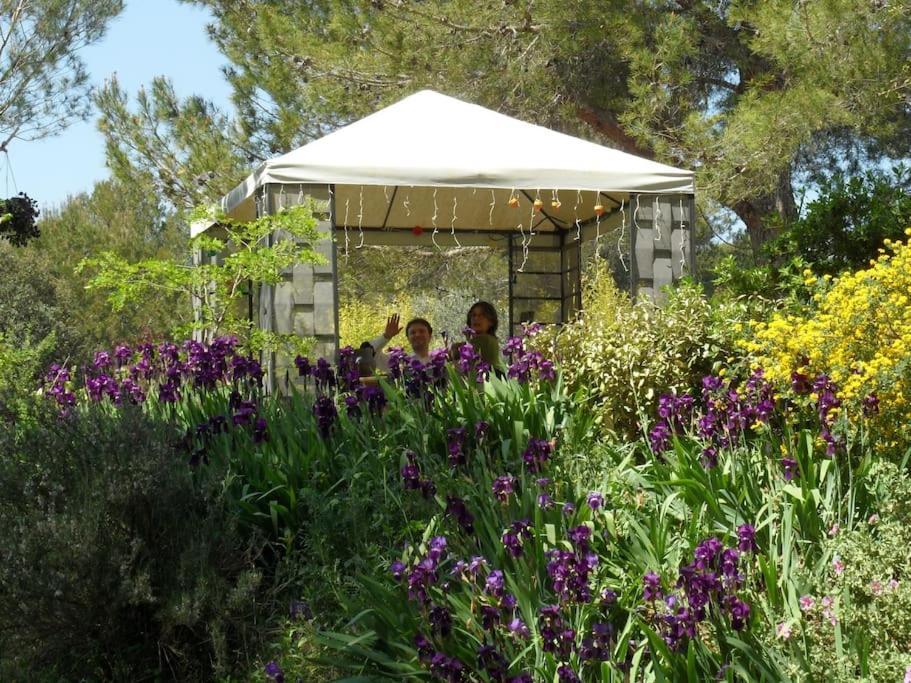 L'Oliveraie En Provence Lambesc Esterno foto